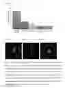 Fig. 09 - POLYSACCHARIDE HYDROGELS FOR INJECTION WITH TUNABLE PROPERTIES