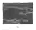 Fig. 02 - Protein biomaterials and biocoacervates and methods of making and using thereof