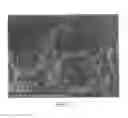 Fig. 03 - Protein biomaterials and biocoacervates and methods of making and using thereof