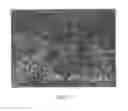 Fig. 05 - Protein biomaterials and biocoacervates and methods of making and using thereof