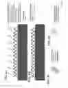 Fig. 07 - Products of manufacture comprising biocompatible materials with high density nanotubes and methods for making them