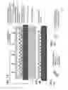 Fig. 08 - Products of manufacture comprising biocompatible materials with high density nanotubes and methods for making them