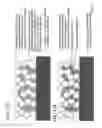 Fig. 13 - Products of manufacture comprising biocompatible materials with high density nanotubes and methods for making them