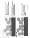 Fig. 14 - Products of manufacture comprising biocompatible materials with high density nanotubes and methods for making them
