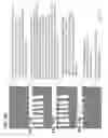 Fig. 16 - Products of manufacture comprising biocompatible materials with high density nanotubes and methods for making them
