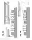 Fig. 19 - Products of manufacture comprising biocompatible materials with high density nanotubes and methods for making them