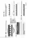 Fig. 40 - Products of manufacture comprising biocompatible materials with high density nanotubes and methods for making them