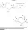 Fig. 312 - Methods, systems, and compositions for promoting bone growth