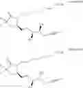 Fig. 316 - Methods, systems, and compositions for promoting bone growth