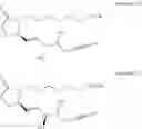 Fig. 433 - Methods, systems, and compositions for promoting bone growth