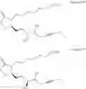 Fig. 438 - Methods, systems, and compositions for promoting bone growth