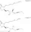 Fig. 441 - Methods, systems, and compositions for promoting bone growth