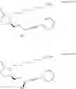 Fig. 456 - Methods, systems, and compositions for promoting bone growth