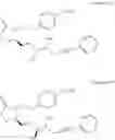 Fig. 468 - Methods, systems, and compositions for promoting bone growth