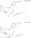 Fig. 480 - Methods, systems, and compositions for promoting bone growth