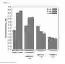 Fig. 11 - Scaffold for hard tissue regeneration containing active ingredient for treating osteoporosis and preparing method thereof