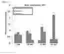Fig. 16 - Scaffold for hard tissue regeneration containing active ingredient for treating osteoporosis and preparing method thereof