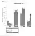Fig. 17 - Scaffold for hard tissue regeneration containing active ingredient for treating osteoporosis and preparing method thereof
