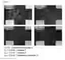 Fig. 22 - Scaffold for hard tissue regeneration containing active ingredient for treating osteoporosis and preparing method thereof