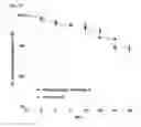 Fig. 26 - Scaffold for hard tissue regeneration containing active ingredient for treating osteoporosis and preparing method thereof