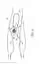 Fig. 08 - Dialysis valve and method