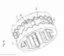 Fig. 06 - DUAL-FUNCTION SPRING