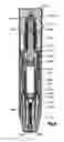 Fig. 04 - AUTOMATIC INJECTOR WITH NEEDLE COVER