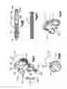 Fig. 12 - AUTOMATIC INJECTOR WITH NEEDLE COVER
