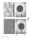 Fig. 11 - Mesh for use in a nebuliser, and a method of manufacturing the same
