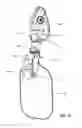 Fig. 14 - MODULAR PULMONARY TREATMENT SYSTEM
