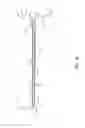 Fig. 20 - Methods and apparatus for administering local anesthetic