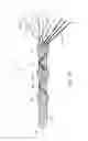 Fig. 05 - Catheter devices and methods for making them