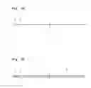 Fig. 03 - Catheter and manufacturing method thereof
