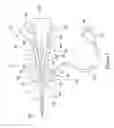 Fig. 02 - Catheter assembly