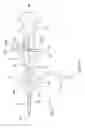 Fig. 09 - Catheter assembly