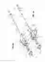 Fig. 05 - Butterfly needle with a protective device