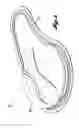 Fig. 05 - CUTANEOUS TREATMENT APPARATUS AND METHODS OF USE