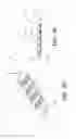 Fig. 04 - SYSTEM AND METHOD FOR DORSAL ROOT BLOCK DURING SPINAL CORD STIMULATION