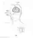 Fig. 02 - Non-regular electrical stimulation patterns for treating neurological disorders