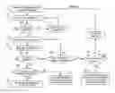 Fig. 01 - METHODS FOR SETTING CARDIAC PACING PARAMETERS IN RELATIVELY HIGH EFFICIENCY PACING SYSTEMS