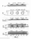Fig. 04 - Biocompatible bonding method and electronics package suitable for implantation