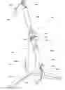 Fig. 01 - Strength training apparatus with flywheel and related methods