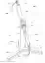 Fig. 02 - Strength training apparatus with flywheel and related methods