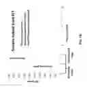 Fig. 11 - Action detection and activity classification