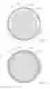 Fig. 05 - Bat with multiple hitting profiles