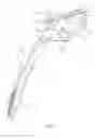 Fig. 04 - Head and neck restraint device with dynamic articulation