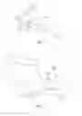 Fig. 10 - Head and neck restraint device with dynamic articulation