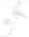 Fig. 13 - Head and neck restraint device with dynamic articulation