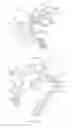 Fig. 16 - Head and neck restraint device with dynamic articulation