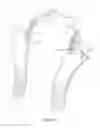 Fig. 23 - Head and neck restraint device with dynamic articulation